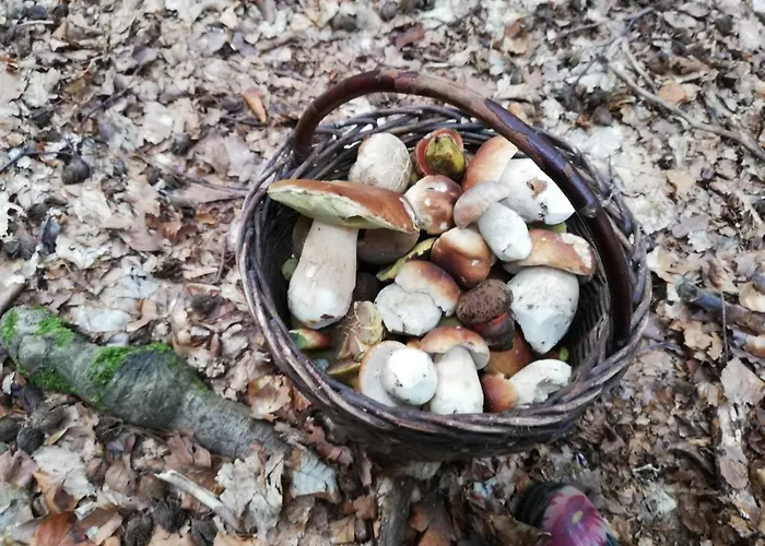 Se Zahradou Feriehus Týnec nad Labem